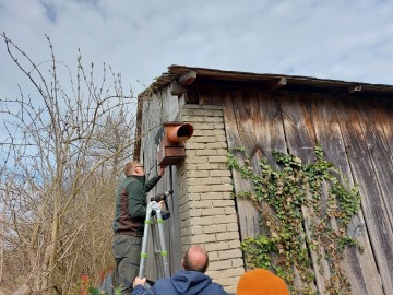 Budki lęgowe dla sowy pójdźki w BPK w ramach projektu „Z Przyrodą na Ty”, 